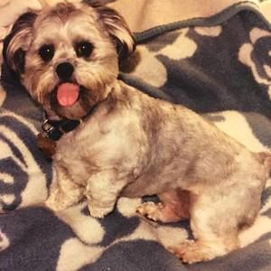 Meet your Posher, Christy